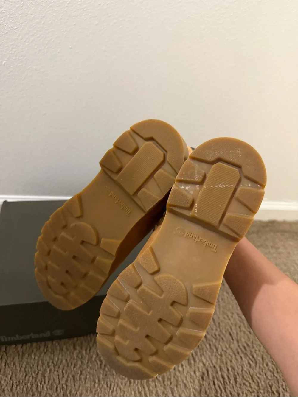 Timberland linden woods